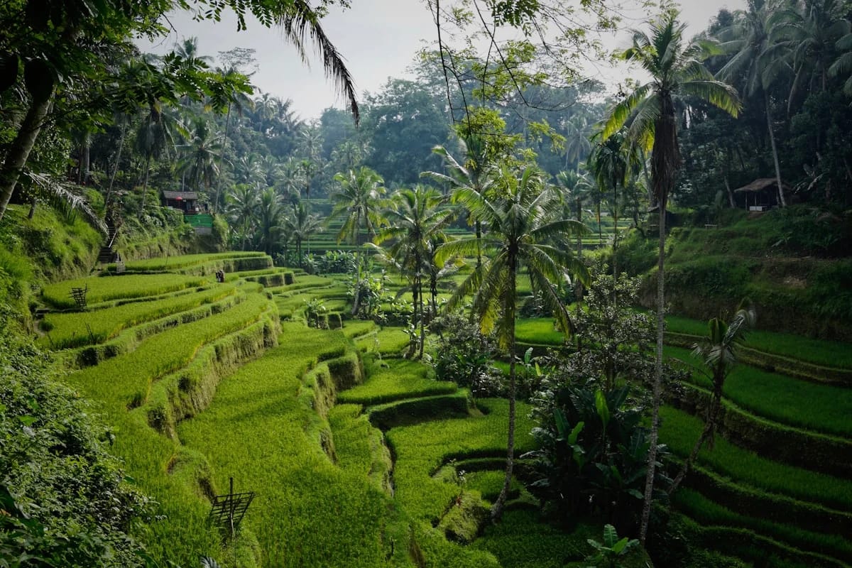 Mekong Delta Experiences - fotografie 7