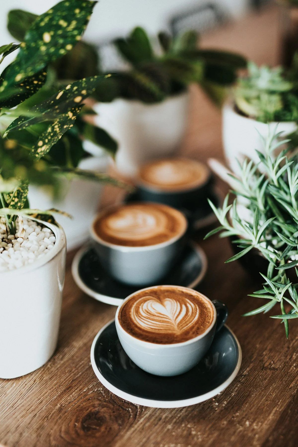 Vietnamese Coffee Culture: From Egg Coffee to Ca Phe Sua Da
