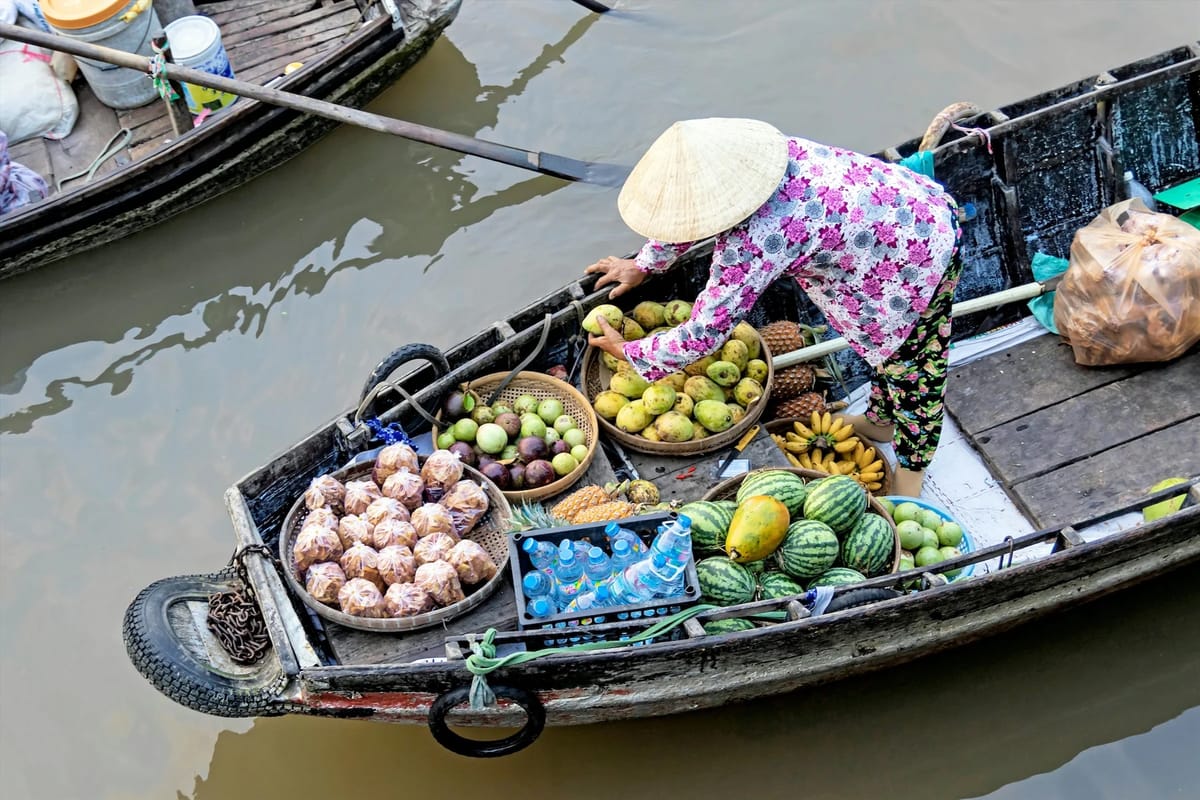 Mekong Delta Day Trip