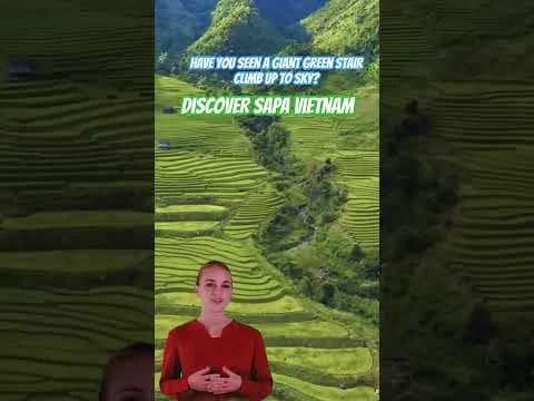 Discover Sapa: Lush Green Terraced Rice Fields