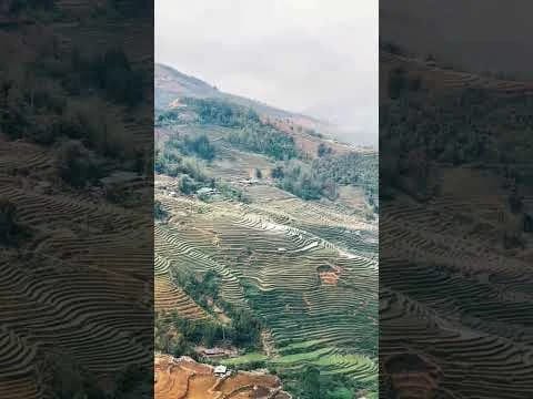 Breathtaking Terraced Rice Fields of Sapa, Vietnam