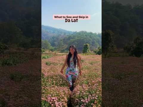 Exploring Da Lat: Vietnam's Hidden Gems