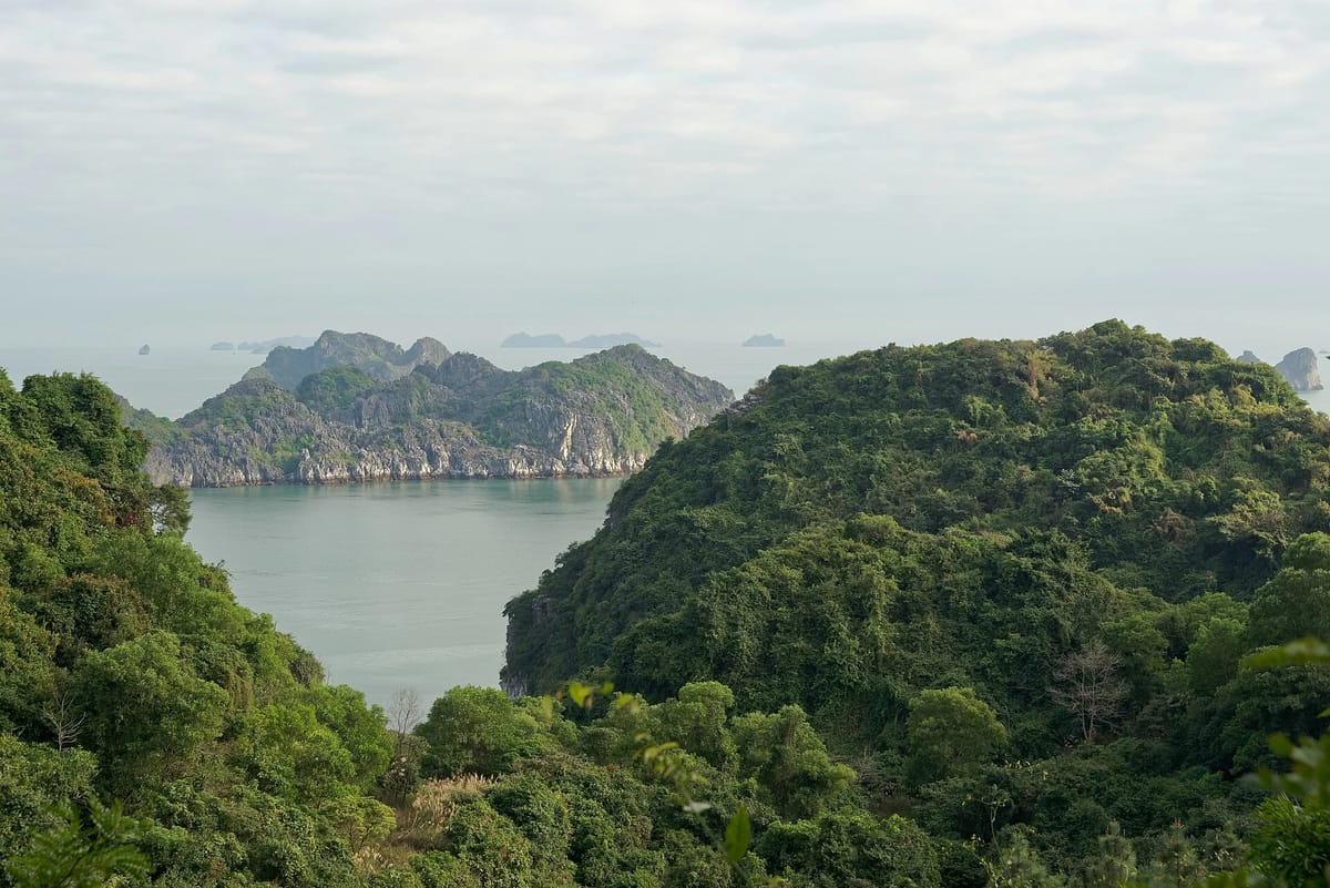 Exploring Cat Ba Island and Lan Ha Bay