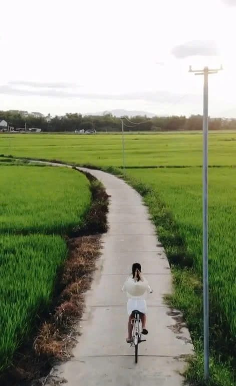 Cycling through Hoi An's countryside
