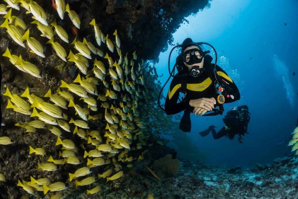 Phu Quoc Adventure & Diving