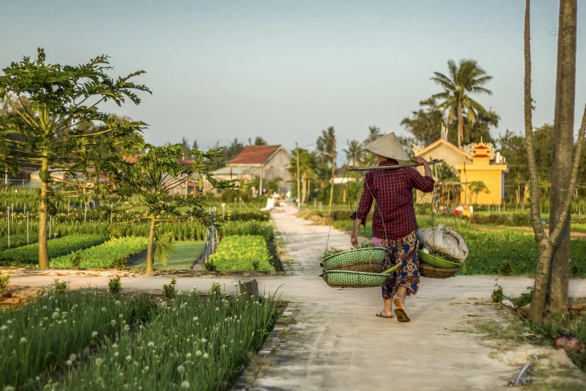 Hoi An Ancient Town Experience – fotografie 1