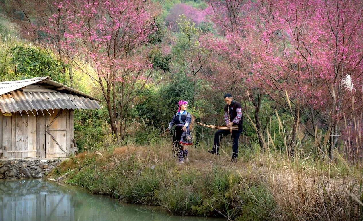 Mai Chau Adventure: 2-Day Stilt House Stay and Remote Village Walk – fotografie 1