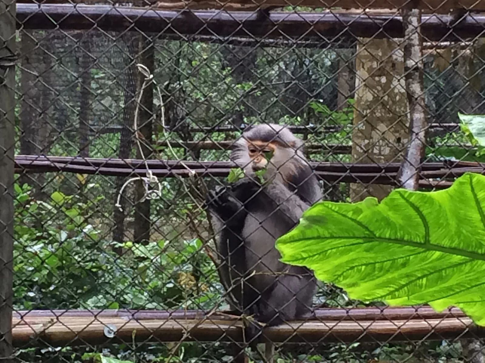 Cuc Phuong Day Tour: Rescue Centre, Jungle Trek & Prehistoric Cave – fotografie 1