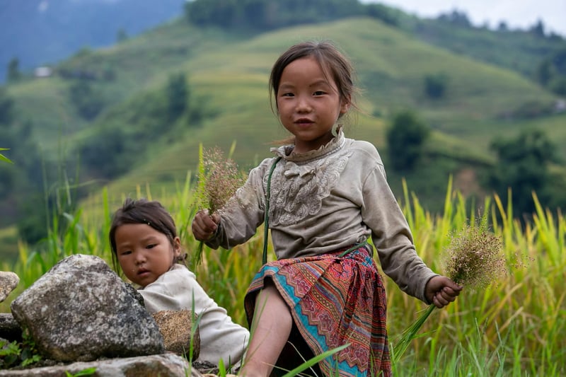 Rýžové terasy v Sapě, severní Vietnam