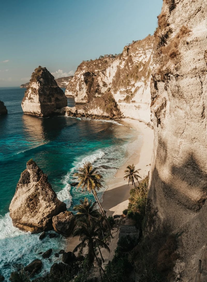 Palm tree and rocky cliff by sandy beach